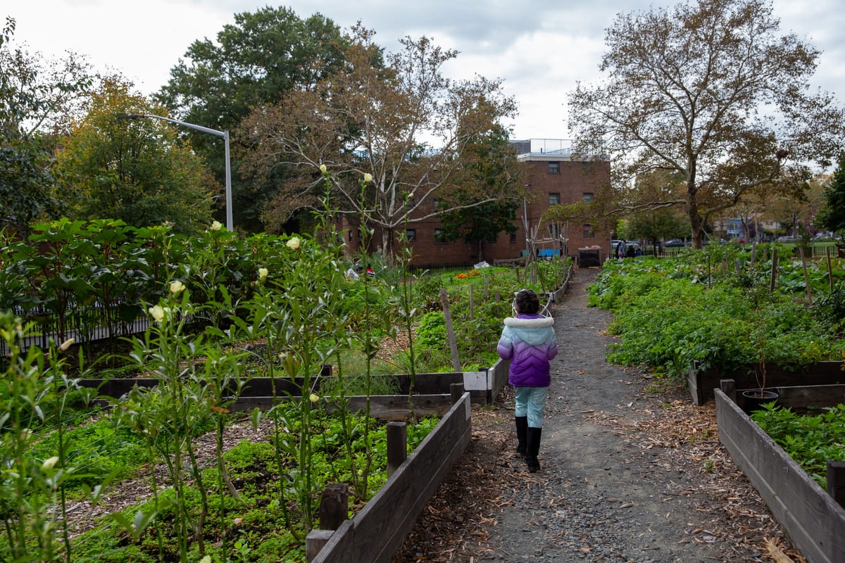 Mariners Harbor Houses Farm